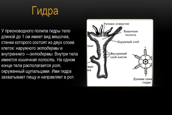 Почему не могу зайти на кракен